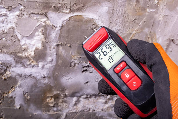 Best Certified Mold Removal  in London, OH