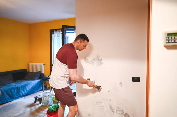 Best Local Mold Removal Service  in London, OH